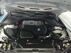 BMW 3 Series Facelift 320Li M Sport Package - ფოტო 20