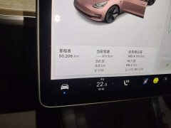Tesla Model 3 Standard Range RWD Upgrade 3D6 - ფოტო 12