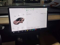 Tesla Model 3 Standard Range RWD Upgrade 3D6 - ფოტო 13