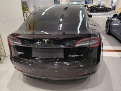 Tesla Model 3 Standard Range RWD Upgrade 3D6 - ფოტო 6