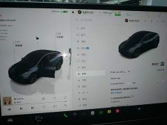 Tesla Model Y Rear-Wheel Drive - ფოტო 12