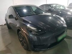 Tesla Model Y Rear-Wheel Drive - ფოტო 4