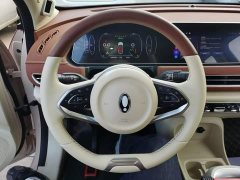 ORA Good Cat 400km Standard Range Athena Edition Ternary Lithium - ფოტო 11