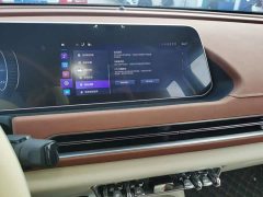 ORA Good Cat 400km Standard Range Athena Edition Ternary Lithium - ფოტო 13