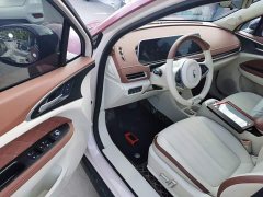 ORA Good Cat 400km Standard Range Athena Edition Ternary Lithium - ფოტო 16
