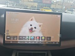 BYD Yuan UP Smart Drive 401KM Vitality Edition - ფოტო 13