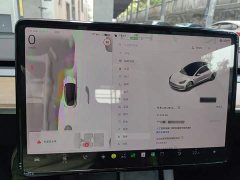 Tesla Model 3 Rear-Wheel Drive - ფოტო 12