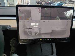 Tesla Model 3 Rear-Wheel Drive - ფოტო 13
