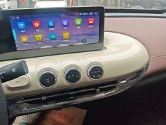 Wuling Binguo 333km Joy Edition - ფოტო 9