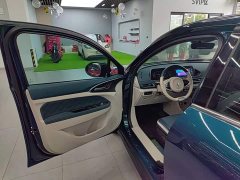 ORA Good Cat 2021 400km Standard Range Venus Edition Ternary Lithium Battery - ფოტო 16