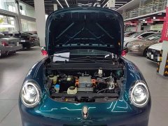 ORA Good Cat 2021 400km Standard Range Venus Edition Ternary Lithium Battery - ფოტო 20