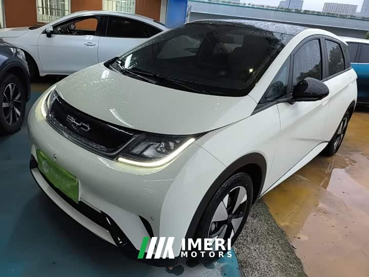 BYD Dolphin 2023 420km Fashion Edition - ავტომობილი ჩინეთიდან
