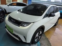 BYD Dolphin 2023 420km Fashion Edition - ფოტო 1