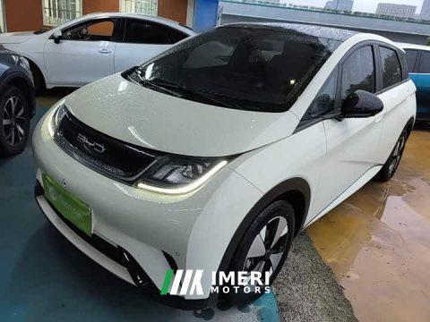 2024 BYD Dolphin 2023 420km Fashion Edition - ავტომობილი ჩინეთიდან