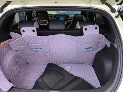 BYD Dolphin 2023 420km Fashion Edition - ფოტო 19