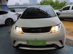 BYD Dolphin 2023 420km Fashion Edition - ფოტო 3