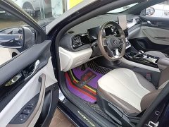 BYD Qin PLUS Glory Edition DM-i 55KM Leading - ფოტო 16