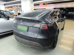 Tesla Model Y Rear-Wheel Drive - ფოტო 5