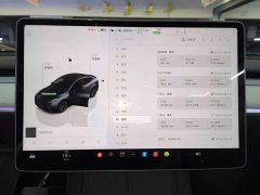 Tesla Model Y Rear-Wheel Drive - ფოტო 8