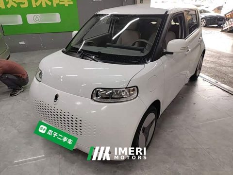 2021 ORA White Cat 2020 360km Luxury - ავტომობილი ჩინეთიდან