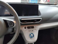 ORA White Cat 2020 360km Luxury - ფოტო 13