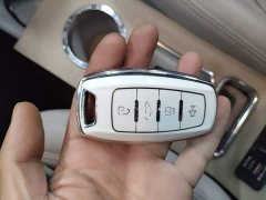 ORA White Cat 2020 360km Luxury - ფოტო 9