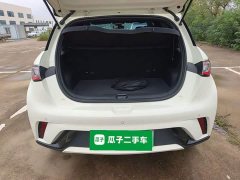 BYD Dolphin 2024 Glory Edition 420km Fashion Version - ფოტო 19