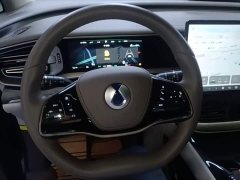 Denza BYD Denza D9 2022 DM-i 945 Luxury - ფოტო 11