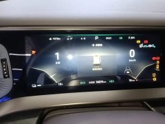 Denza BYD Denza D9 2022 DM-i 945 Luxury - ფოტო 12