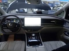 Denza BYD Denza D9 2022 DM-i 945 Luxury - ფოტო 18