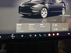 Tesla Model Y Rear-Wheel Drive - ფოტო 12