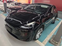 Tesla Model Y Rear-Wheel Drive - ფოტო 2