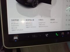 Tesla Model Y Long Range All-Wheel Drive - ფოტო 12