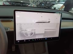 Tesla Model Y Long Range All-Wheel Drive - ფოტო 13