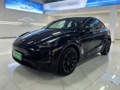 Tesla Model Y Long Range All-Wheel Drive - ფოტო 2