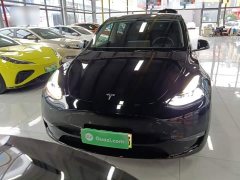Tesla Model Y Long Range All-Wheel Drive - ფოტო 3