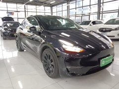 Tesla Model Y Long Range All-Wheel Drive - ფოტო 4