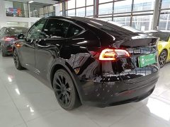 Tesla Model Y Long Range All-Wheel Drive - ფოტო 5