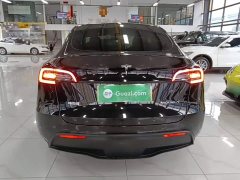 Tesla Model Y Long Range All-Wheel Drive - ფოტო 6