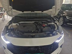 Ford Focus 2022 Hatchback EcoBoost 180 Automatic Sport Edition - ფოტო 20