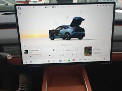 Nio Lerado L60 2024 60kWh Rear-Wheel Drive - ფოტო 13