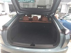 Nio Lerado L60 2024 60kWh Rear-Wheel Drive - ფოტო 19