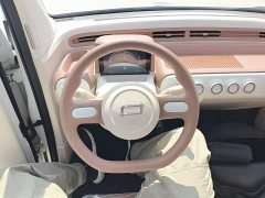FAW Besturn Xiaoma 222km Colorful Edition - ფოტო 11