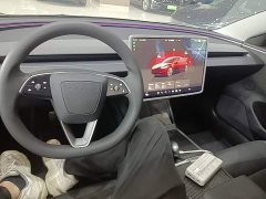 Tesla Model 3 2023 Long Range All-Wheel Drive - ფოტო 10