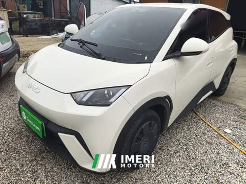 2024 BYD Seagull Glory Edition 305km Vitality Version - ავტომობილი ჩინეთიდან