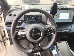 BYD Seagull Glory Edition 305km Vitality Version - ფოტო 11