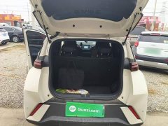 BYD Seagull Glory Edition 305km Vitality Version - ფოტო 19