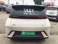 BYD Seagull Glory Edition 305km Vitality Version - ფოტო 6
