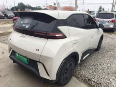 BYD Seagull Glory Edition 305km Vitality Version - ფოტო 7