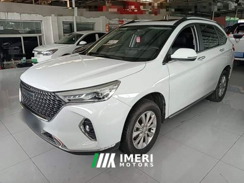 2021 Haval M6 PLUS 1.5T Manual Luxury Smart Connected Edition - ავტომობილი ჩინეთიდან